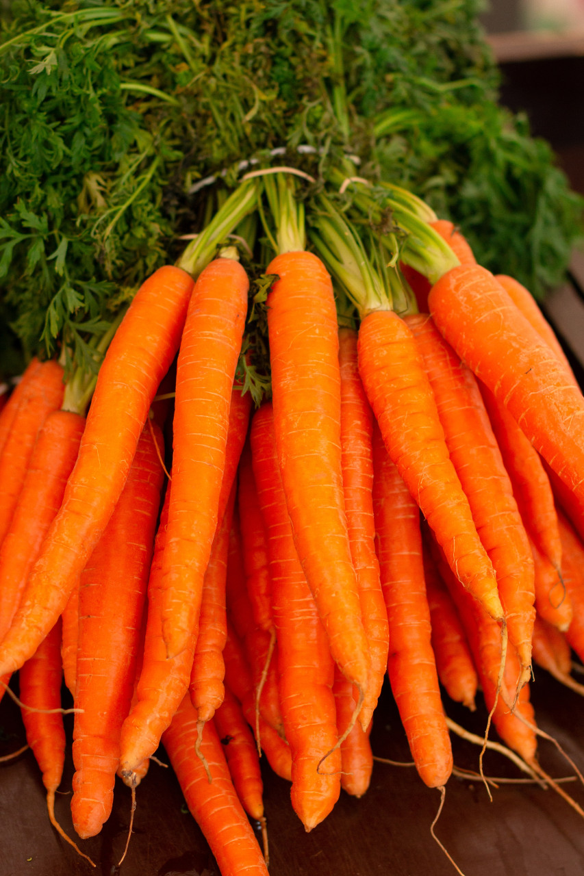 botte de carottes bio