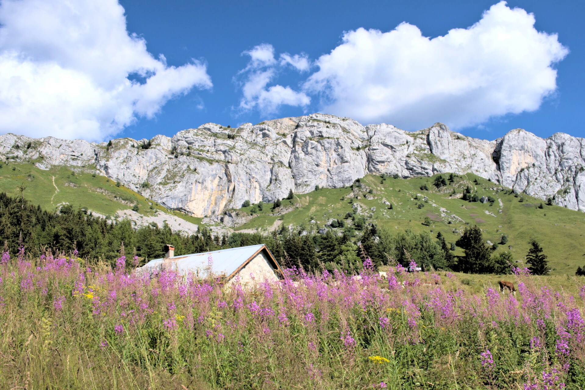 Cabane des Clots à Villard-de-Lans dans le Vercors