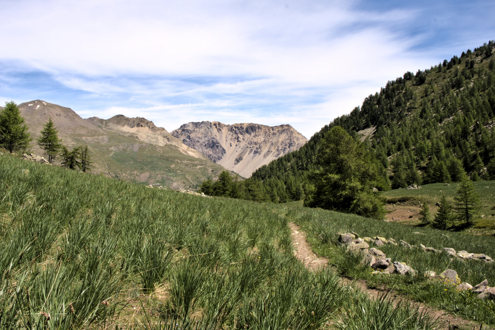 Le vallon de Buffère en direction de Névache
