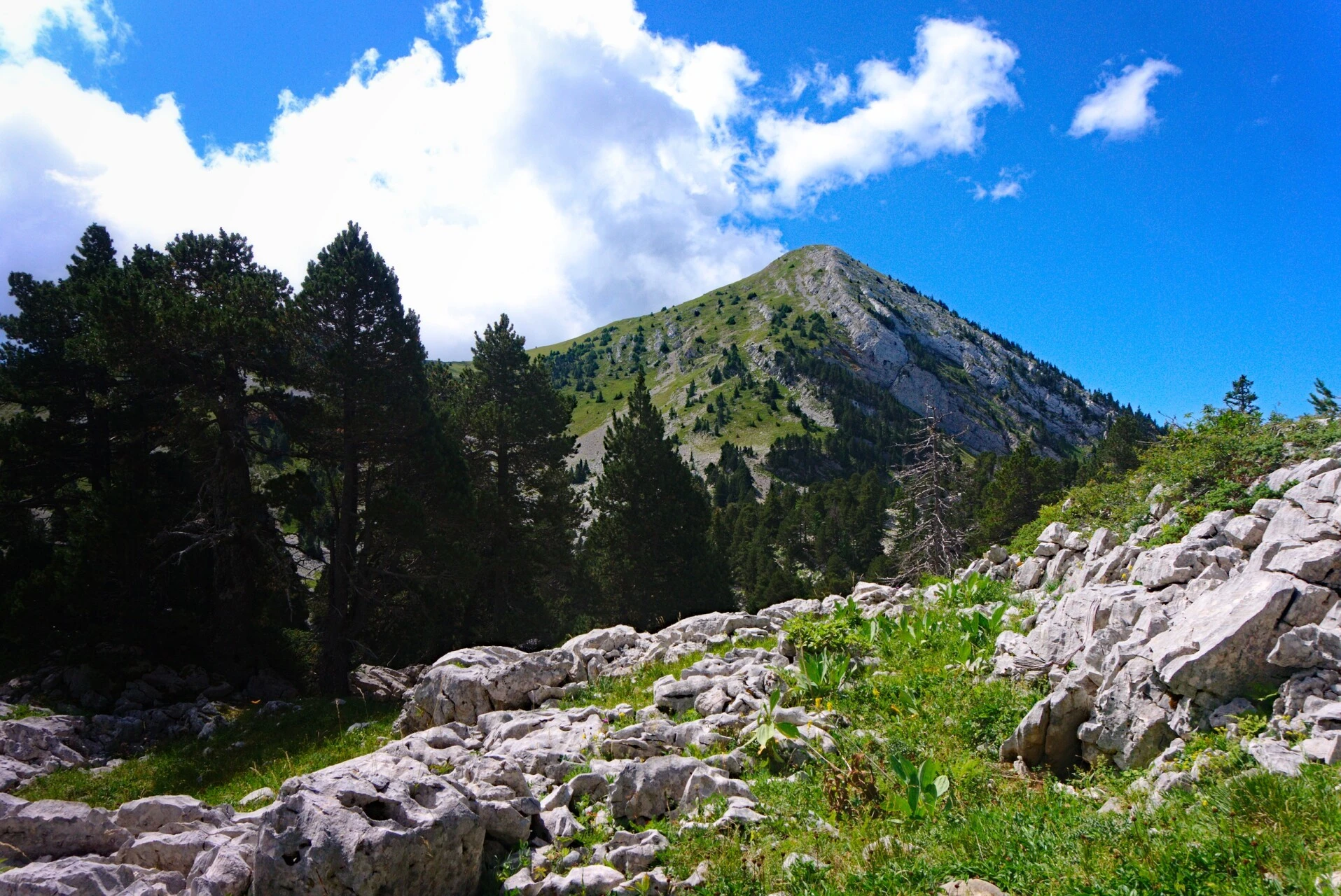 Col de l'Arc depuis Lans-en-Vercors