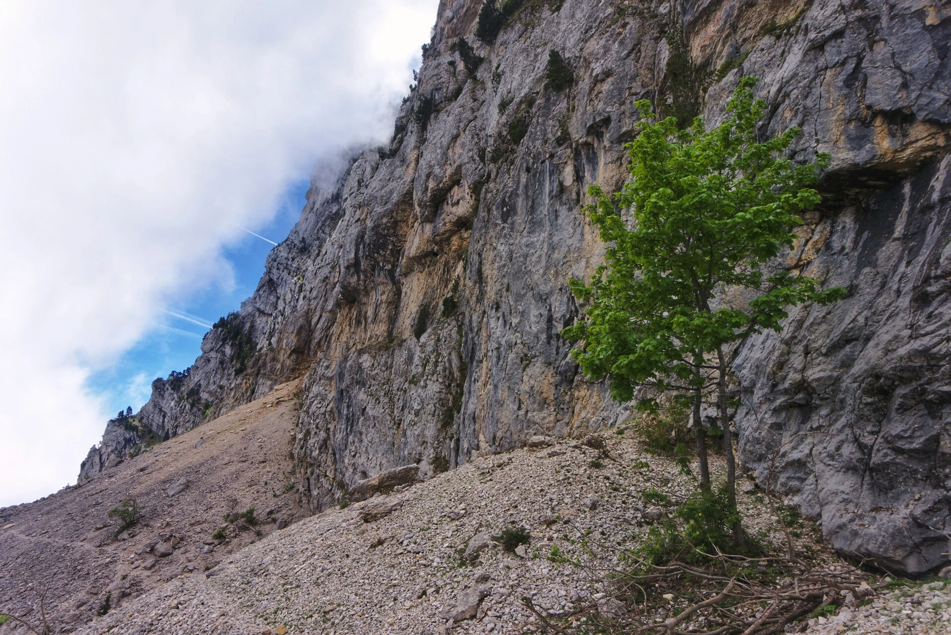 Falaises orientales du Moucherotte