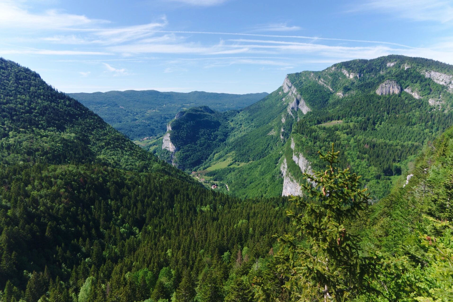 Les gorges de la Bourne