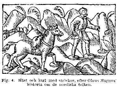 Gravure du XVIe siècle : voyageur suédois en raquettes