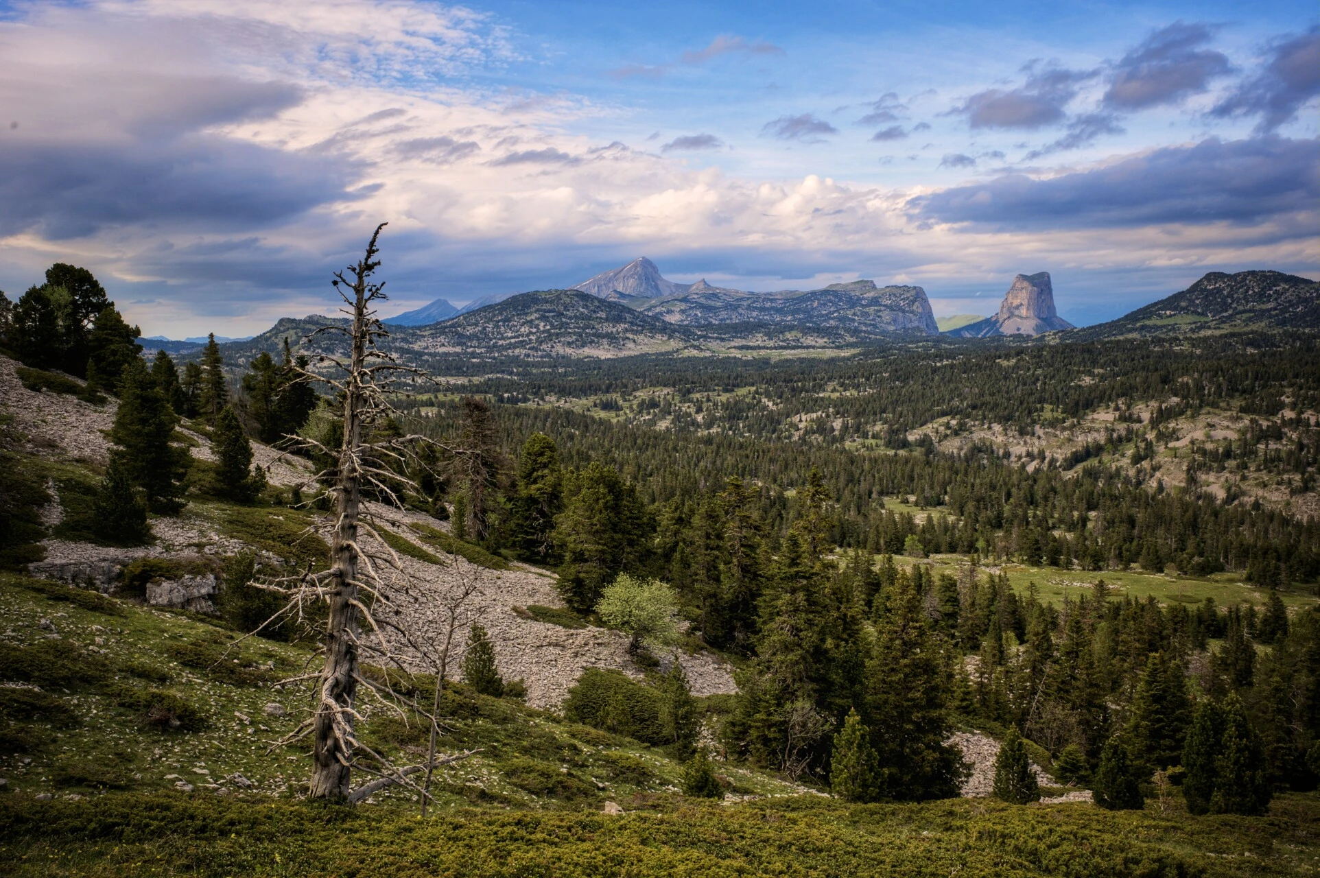 Les Hauts-Plateaux vus depuis le sud