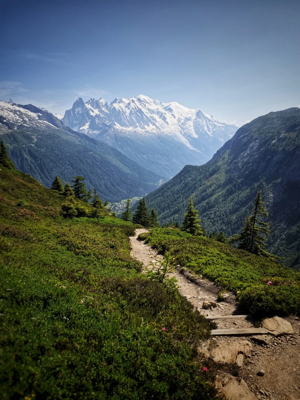 Sentier en alpage avec vue sur le Mont-Blanc, entre le col de Balme et Trè-le-Champ