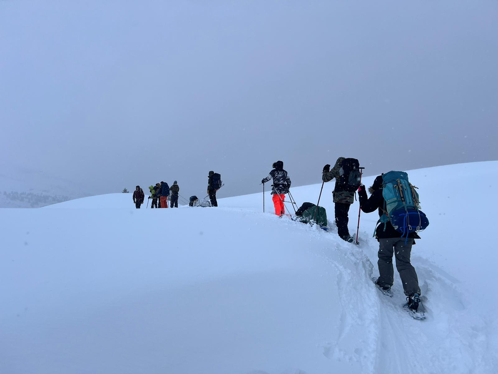 igloo pulka aventure