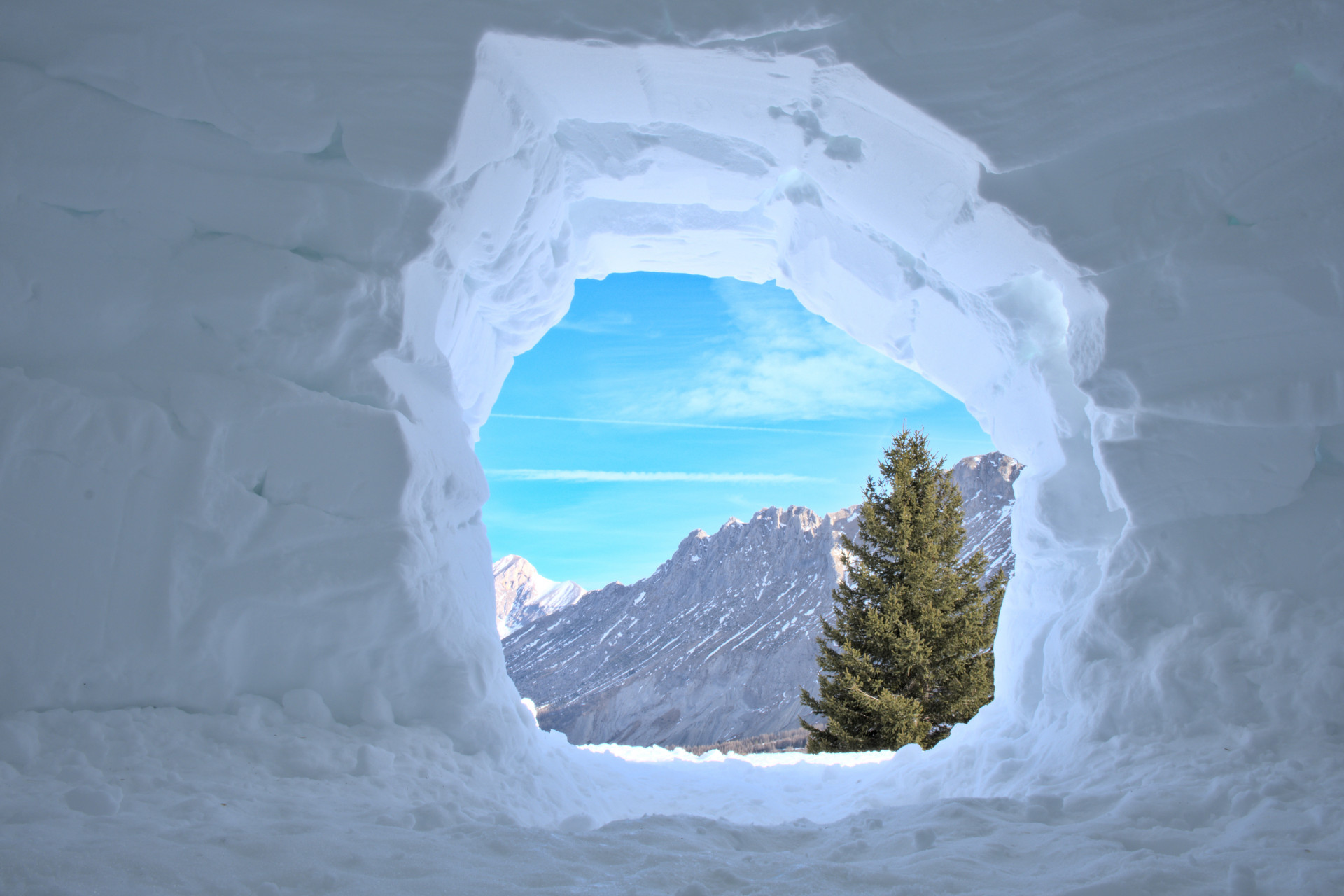 intérieur igloo neige
