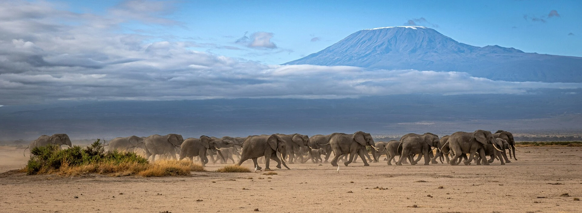 Le Kilimandjaro, toit de l'Afrique