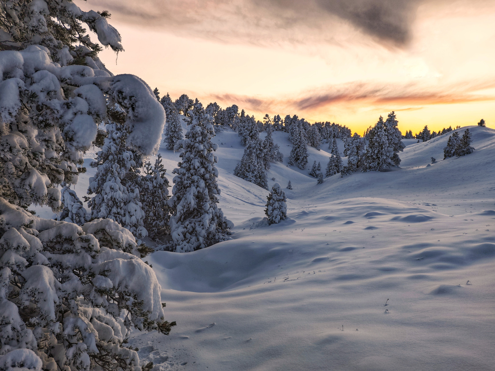 lever de soleil hauts plateaux du vercors en hiver