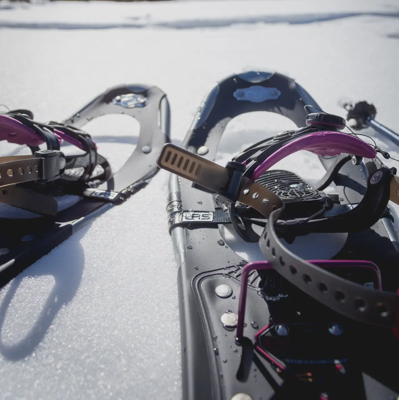 Location Raquette Hautes-Alpes : Champsaur-Valgaudemar & Gap