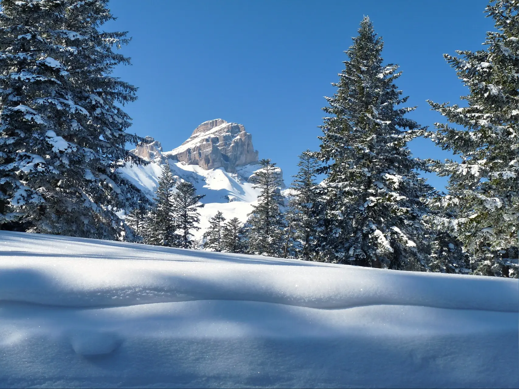 Nouvel an refuge montagne Obiou