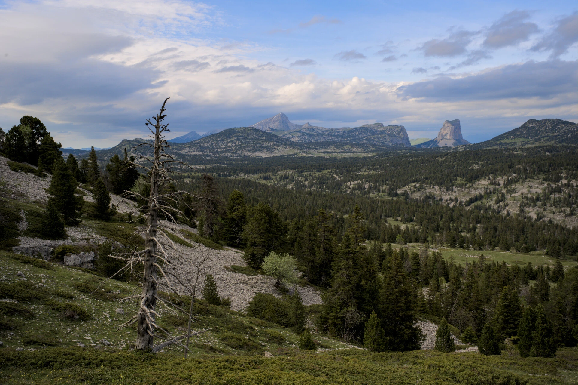 Le Pas des Bachassons, sur la montée au Grand Veymont