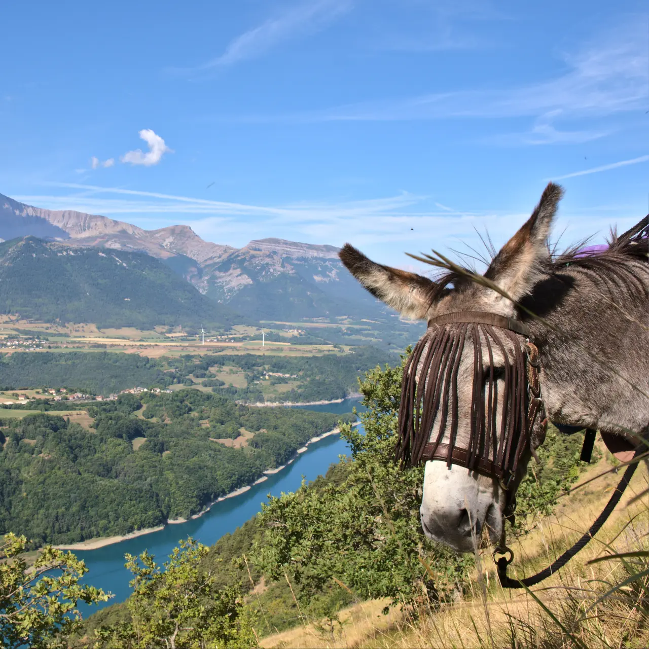 Rando avec les ânes Lac du Sautet