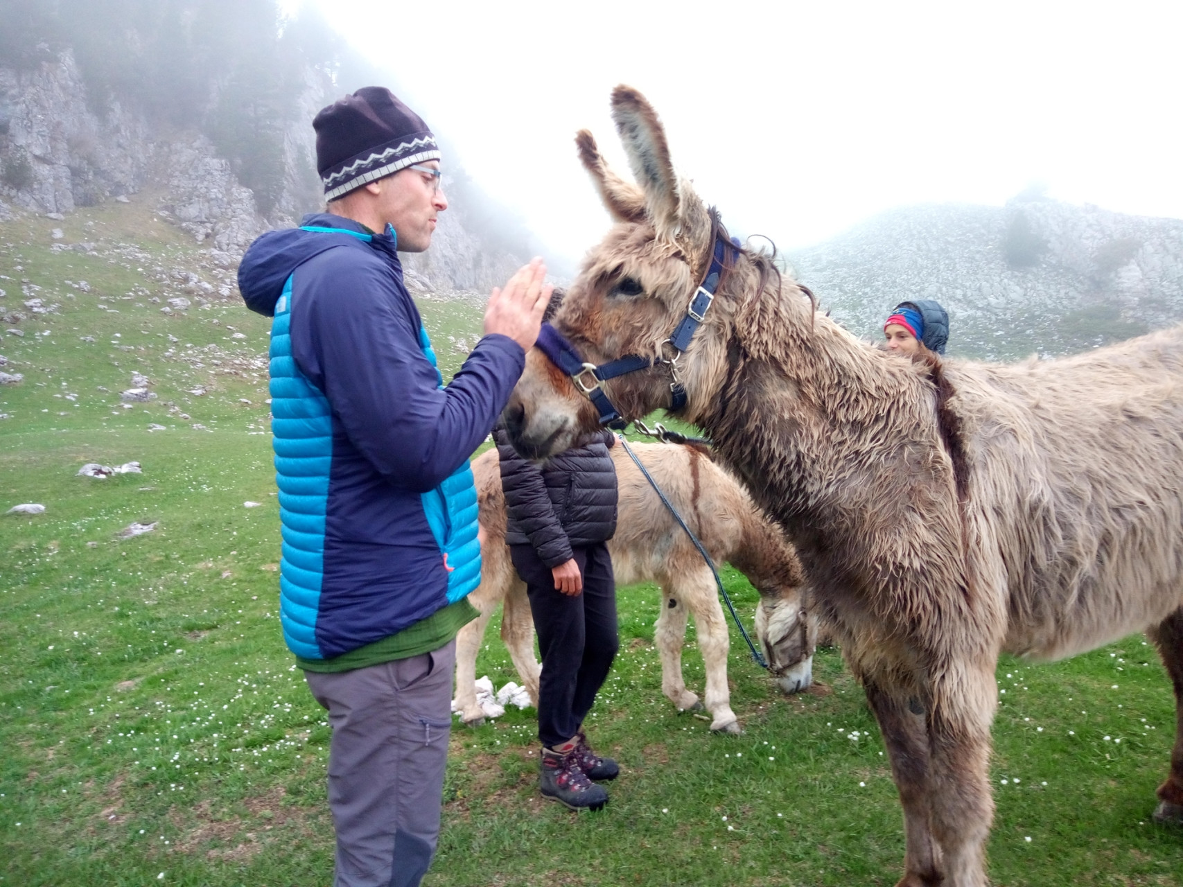 randonnée avec âne - Hauts-Plateaux-du-Vercors en famille - Jeune Papa