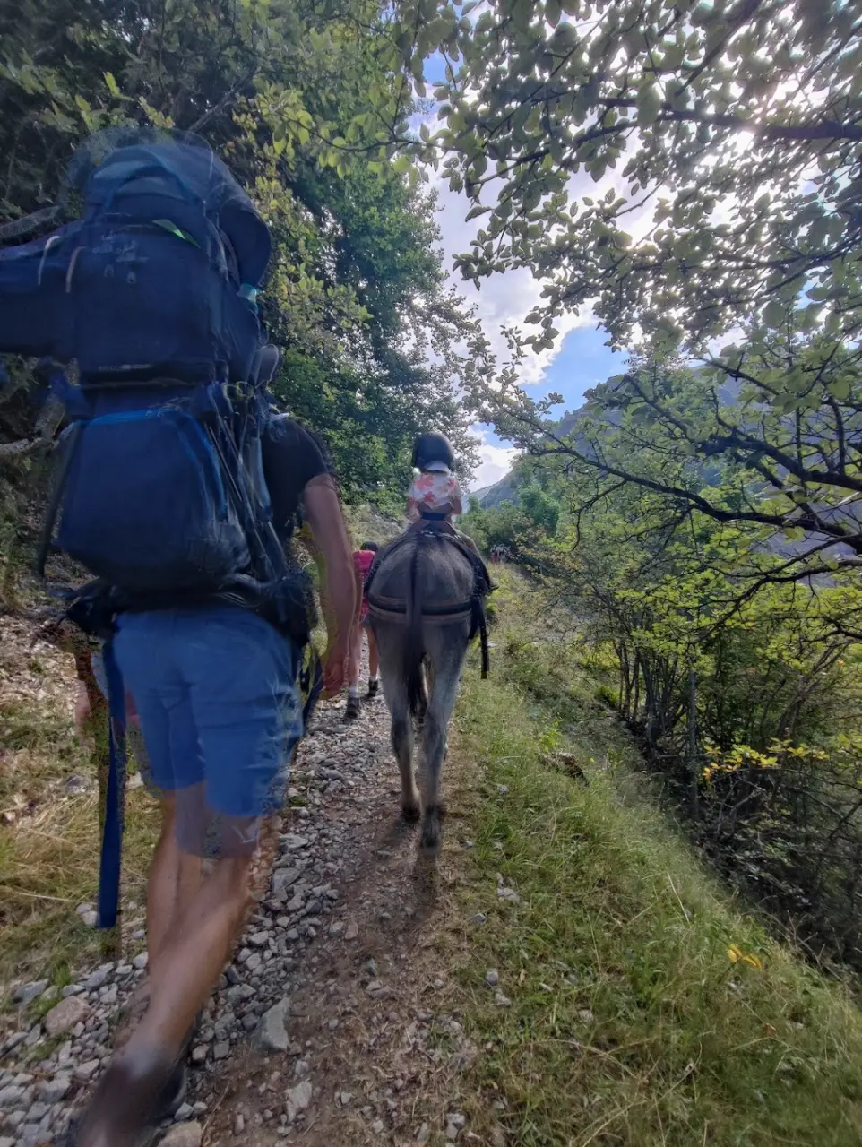 Randonnée en famille avec les ânes