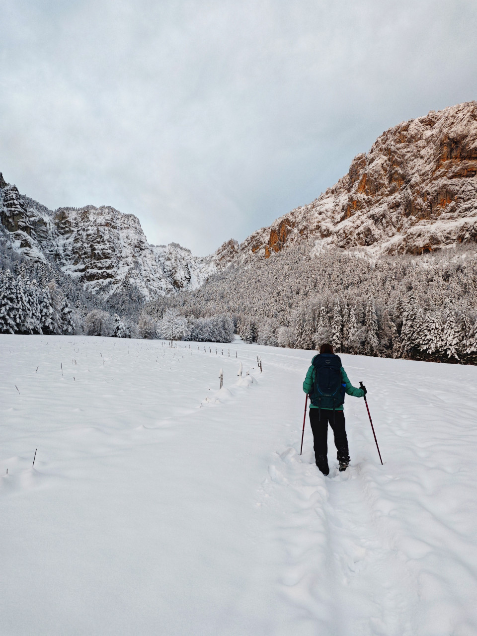 raquette vercors hiver - chichilianne