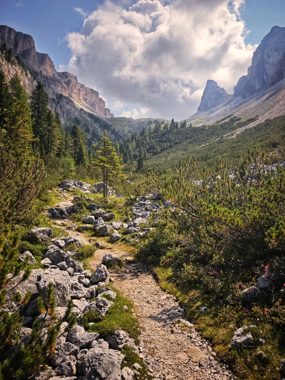 Sass da Ciampac - Sass di Campaccio - Dolomites