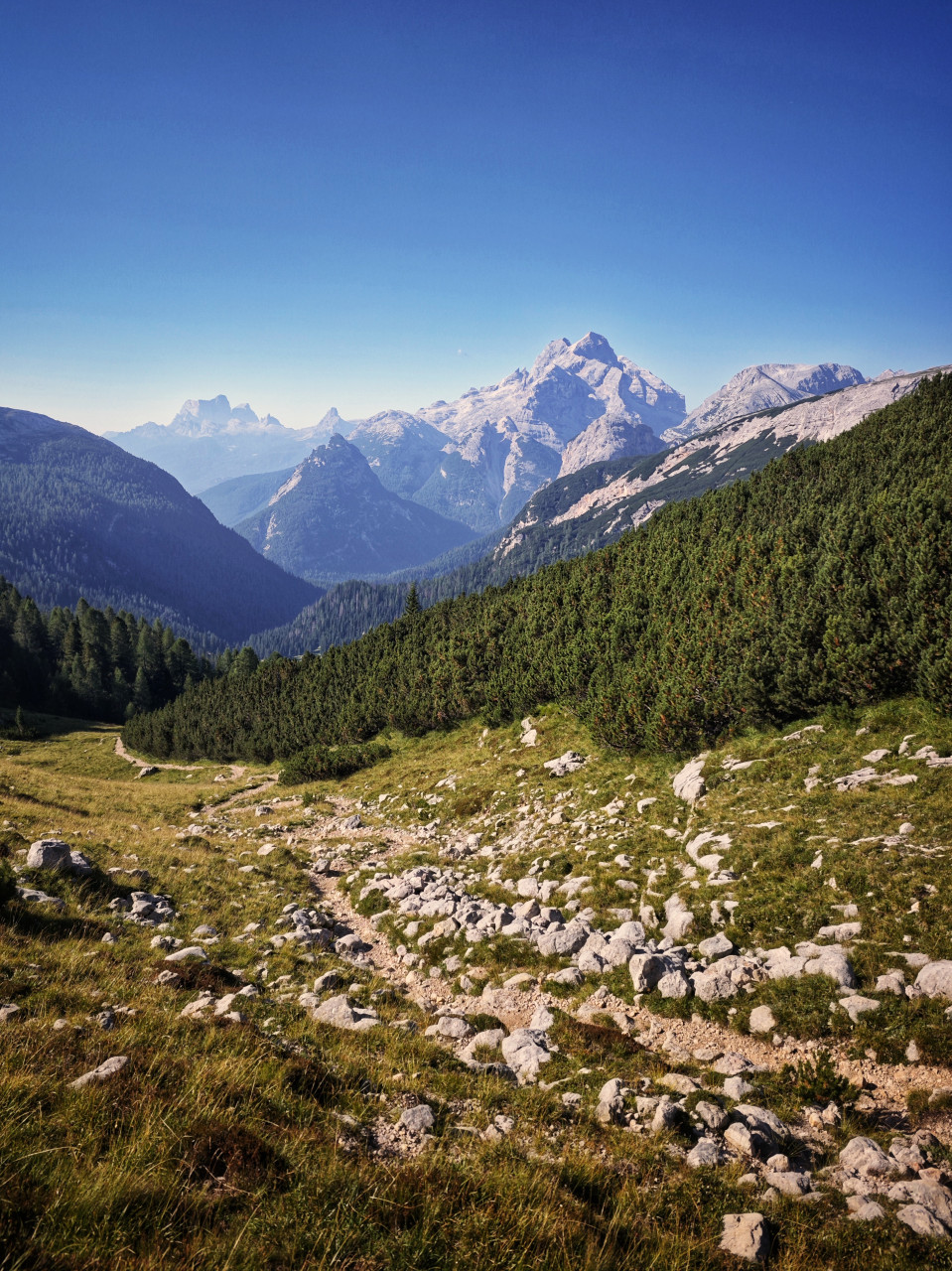 Sennes - Dolomites