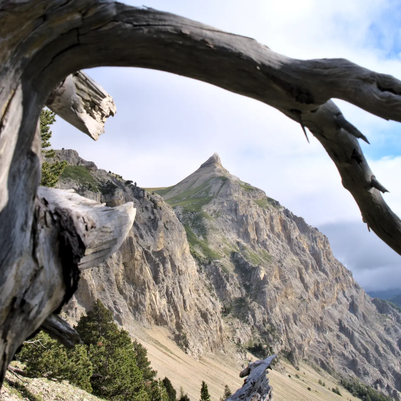 Stage photo montagne alpes