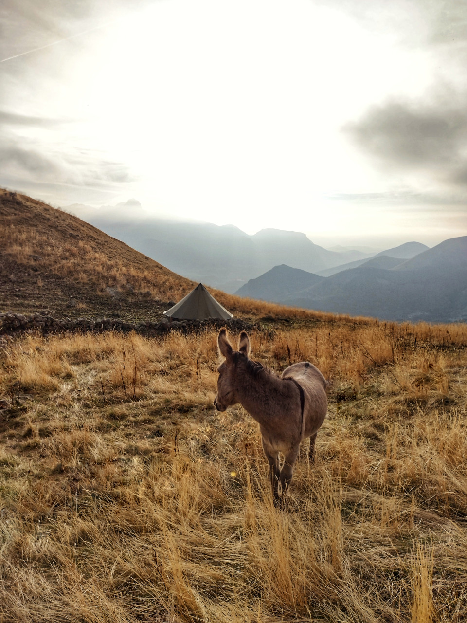 tipi âne bivouac montagne