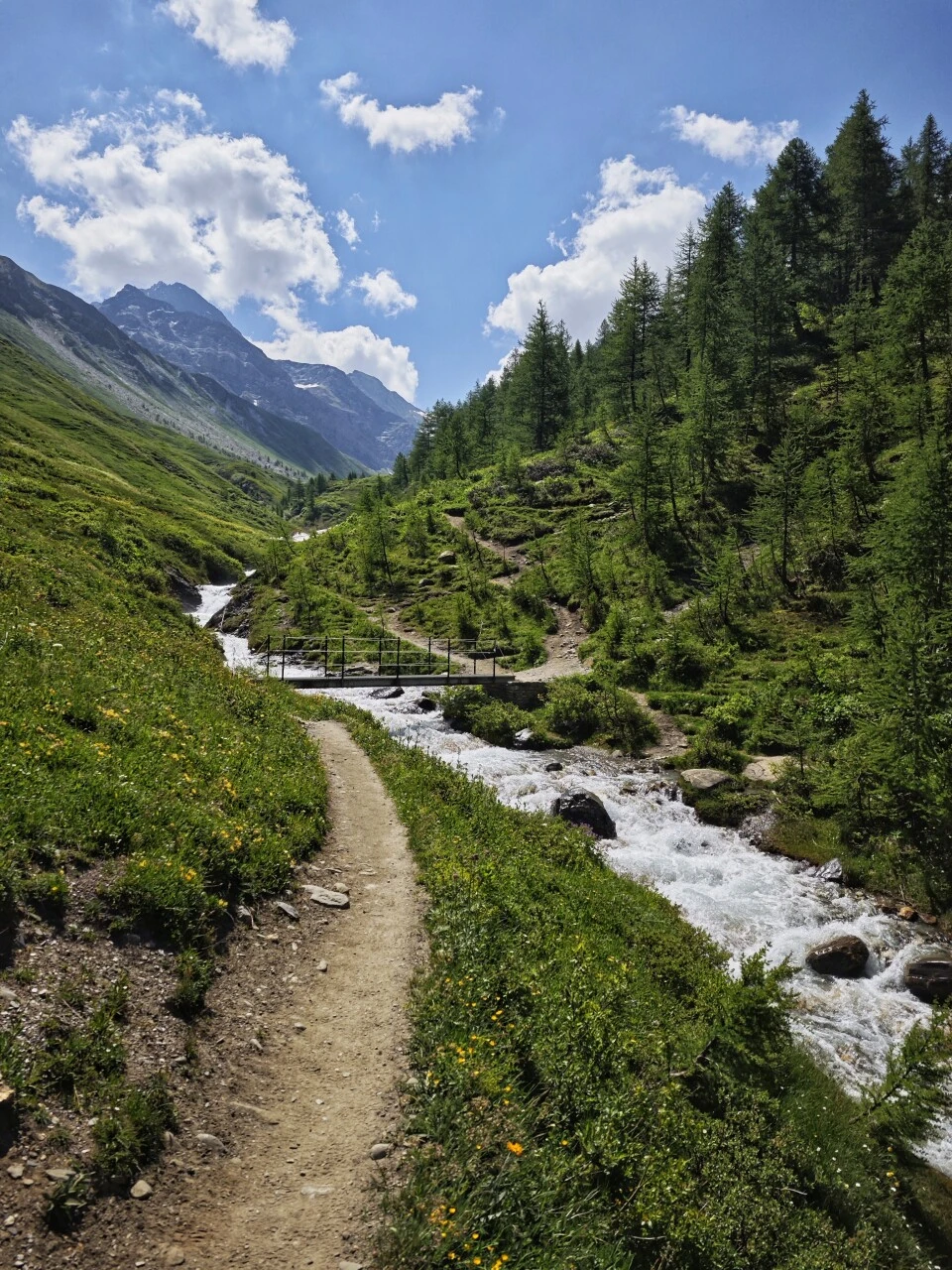 Sentier le long du torrent en quittant le Refuge Bonatti