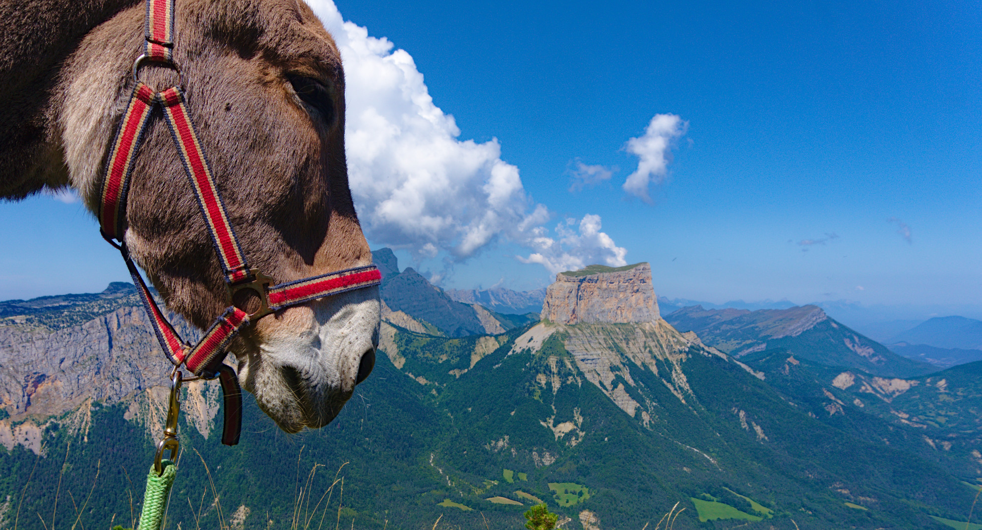 Traversée des Hauts Plateaux du Vercors avec un âne