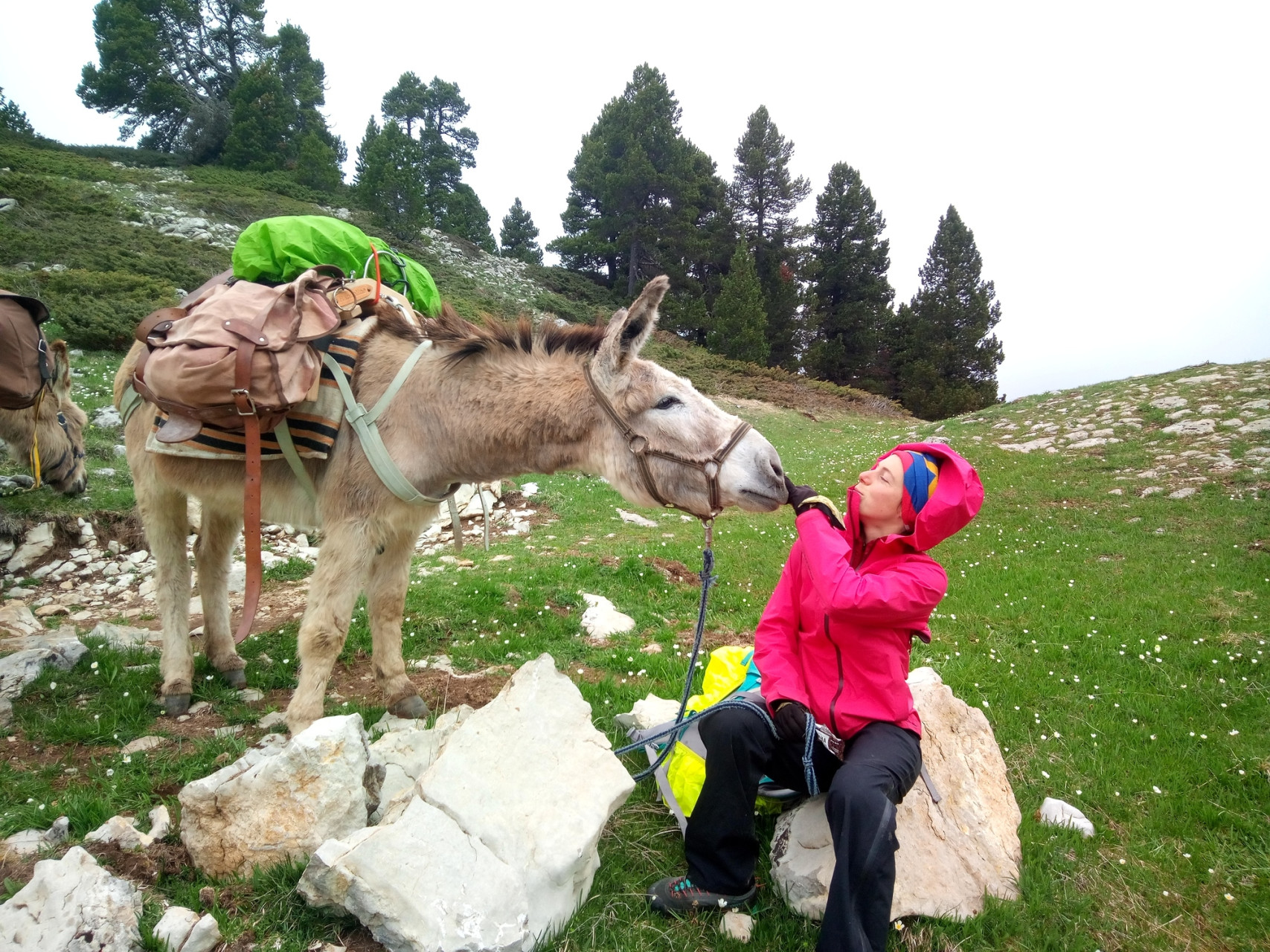 Trek - Âne de bat - Hauts-Plateaux du Vercors - Jeune Maman