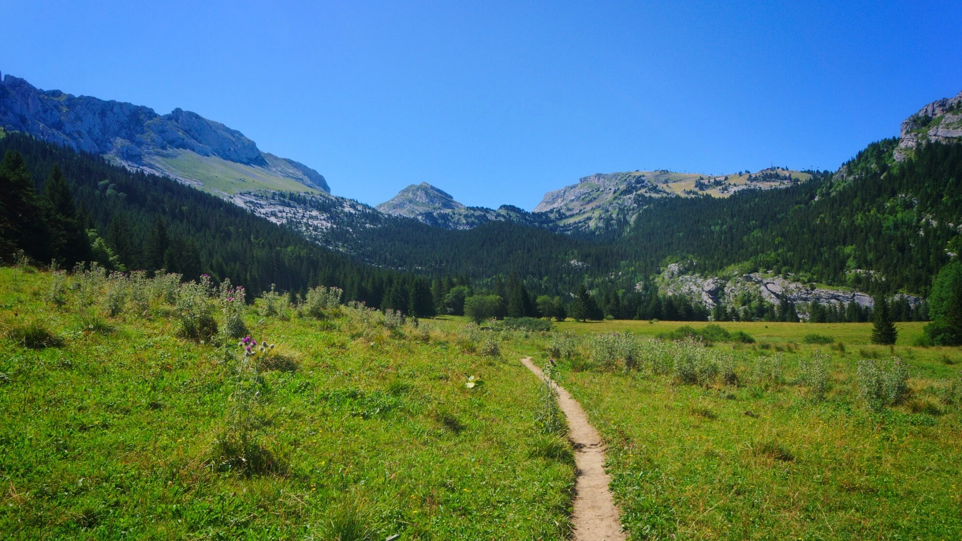Le vallon de la Fauge
