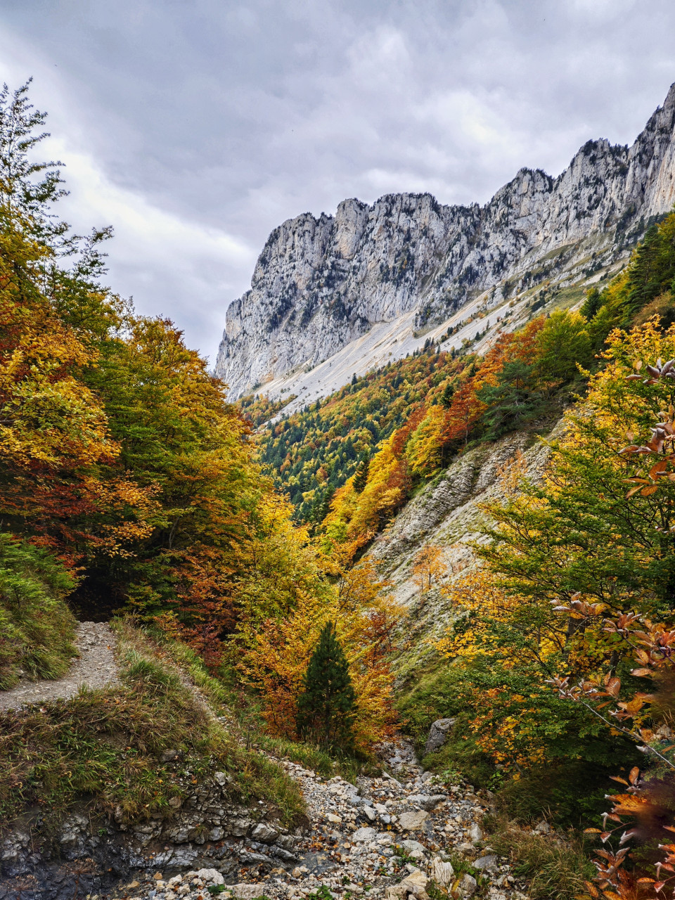 vercors couleur d'automne