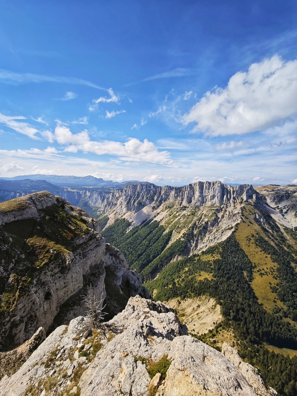 Vue depuis le sommet du Mont Aiguille