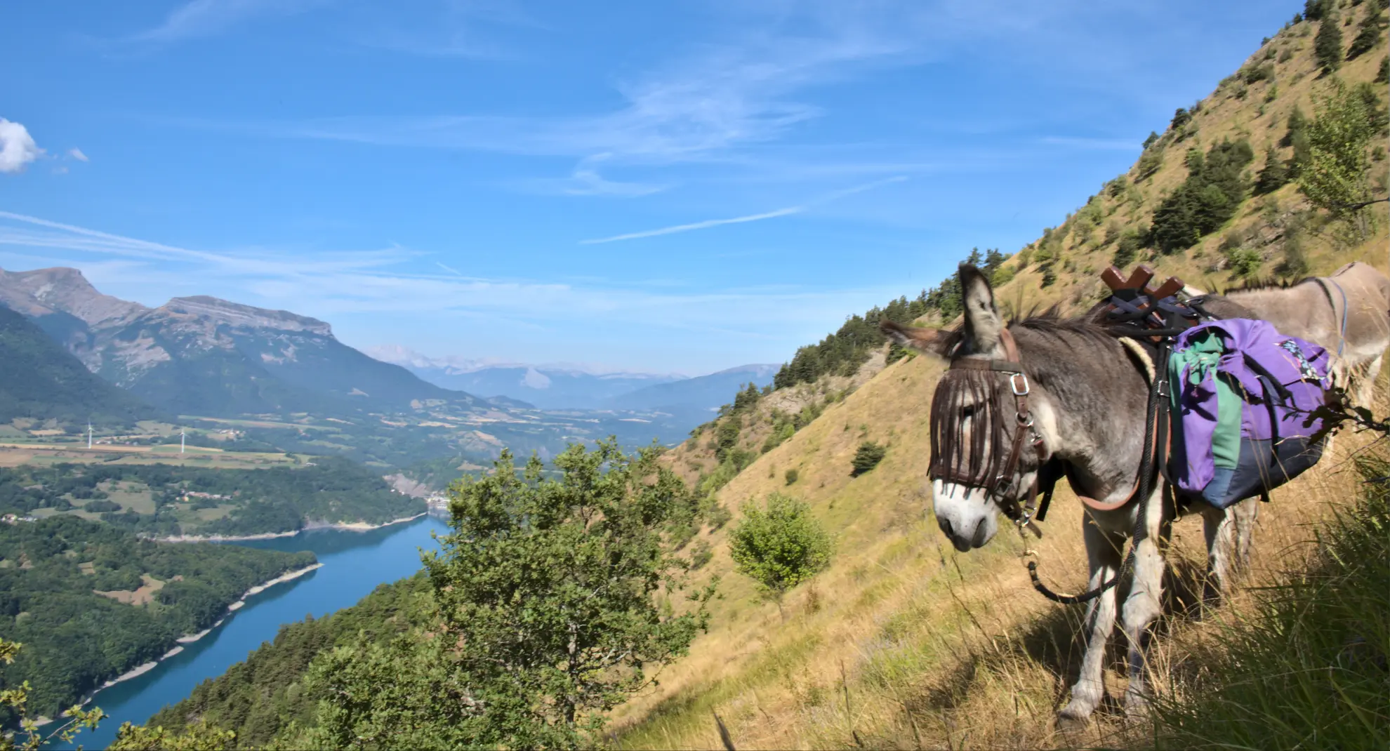 Week end Rando avec les ânes
