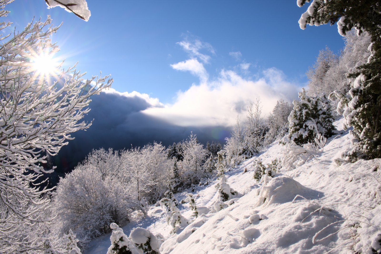 Un EVJF / EVG à la neige & montagne ️ Hiver 2024 2025